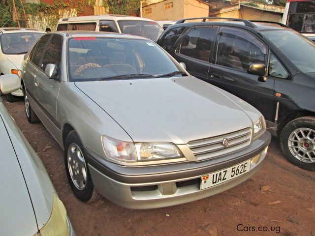 Toyota Premio in Uganda