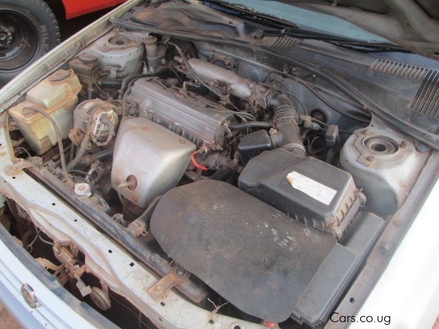 Toyota Premio in Uganda