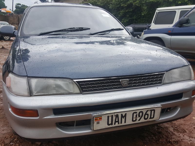 Toyota corolla in Uganda