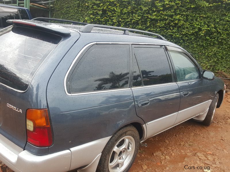 Toyota corolla in Uganda