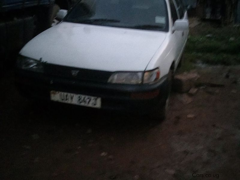 Toyota corolla in Uganda