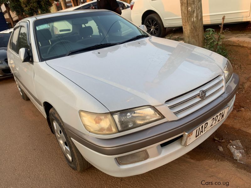 Toyota premio in Uganda