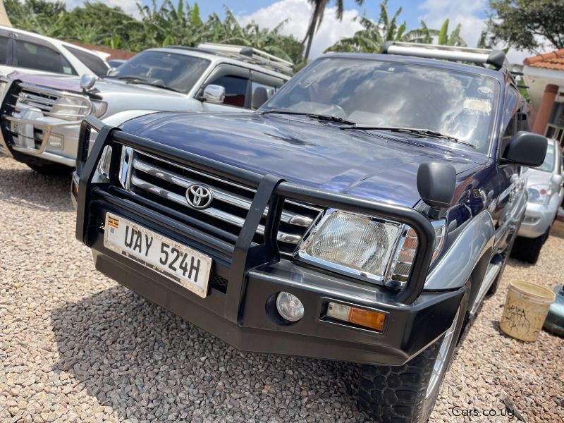 Toyota  Prado TX in Uganda