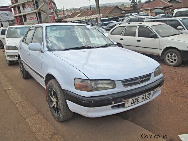 Toyota Corolla (110) in Uganda