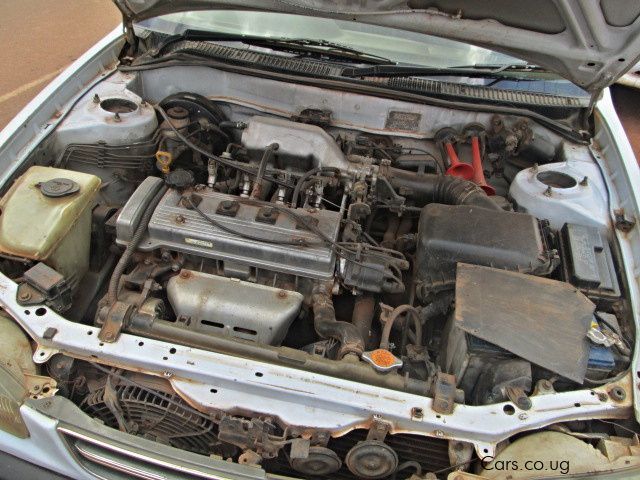 Toyota Corolla (110) in Uganda