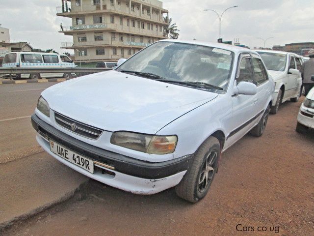 Toyota Corolla (110) in Uganda