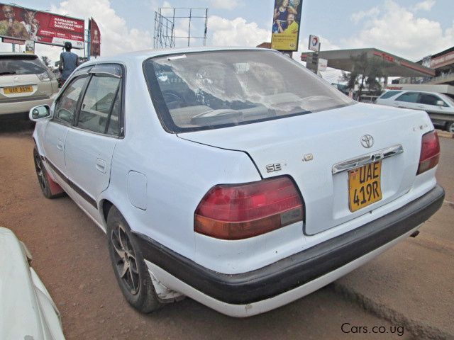 Toyota Corolla (110) in Uganda