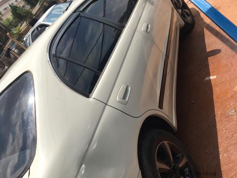 Toyota Corolla in Uganda