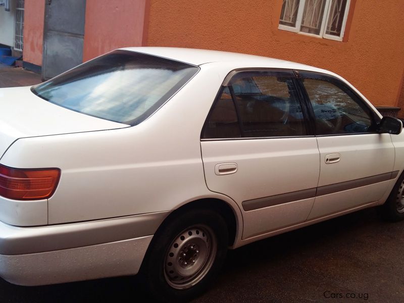 Toyota Corona AT211 in Uganda