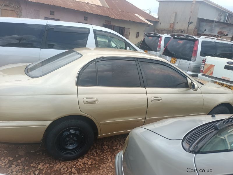 Toyota Corona in Uganda