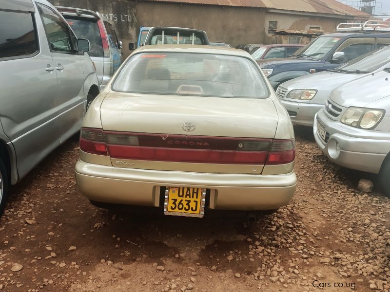 Toyota Corona in Uganda