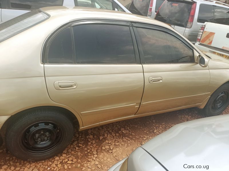 Toyota Corona in Uganda