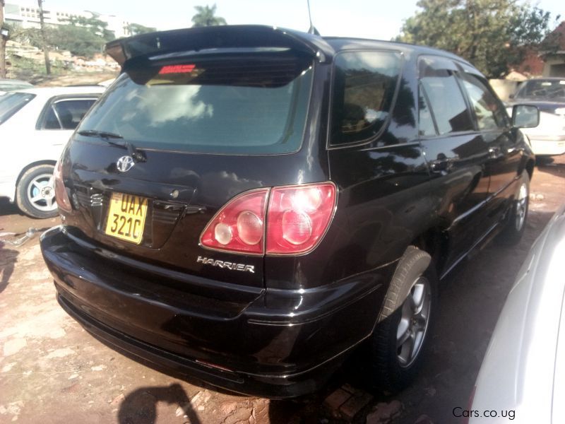 Toyota Harrier in Uganda