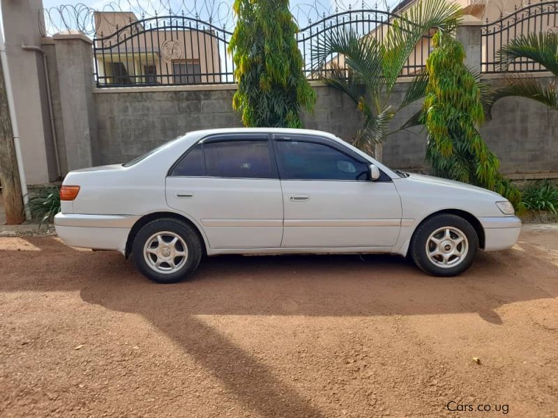 Toyota Premio  Super in Uganda