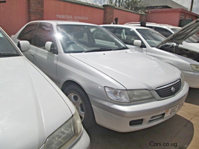 Toyota Premio in Uganda