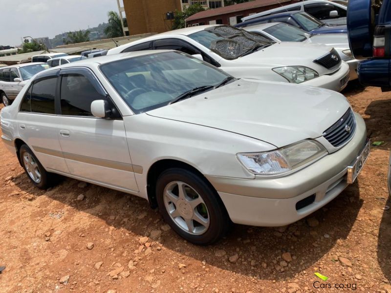 Toyota Premio in Uganda