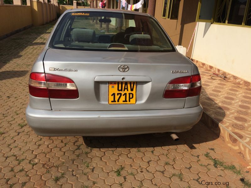 Toyota Corolla E110 in Uganda