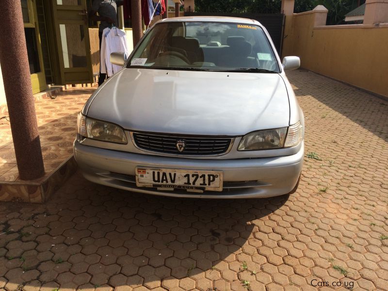 Toyota Corolla in Uganda