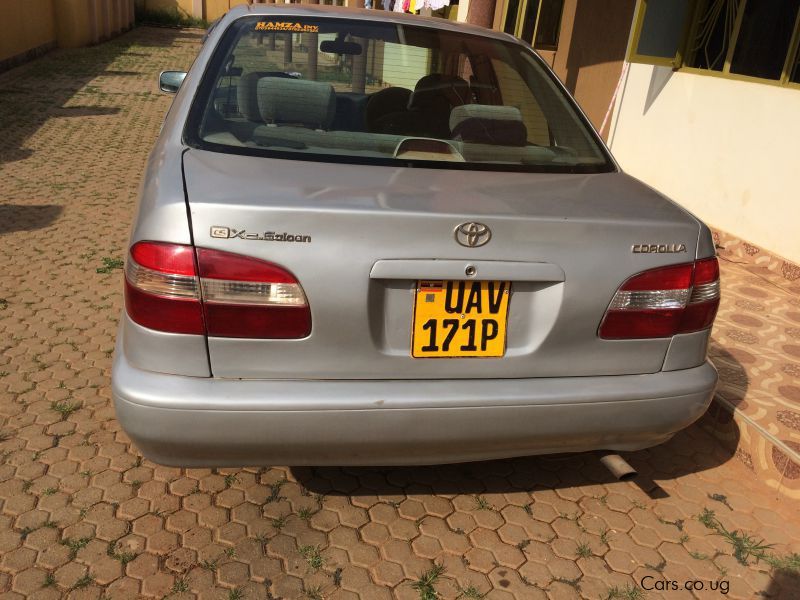 Toyota Corolla in Uganda