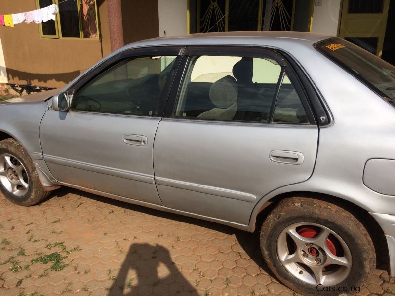 Toyota Corolla in Uganda