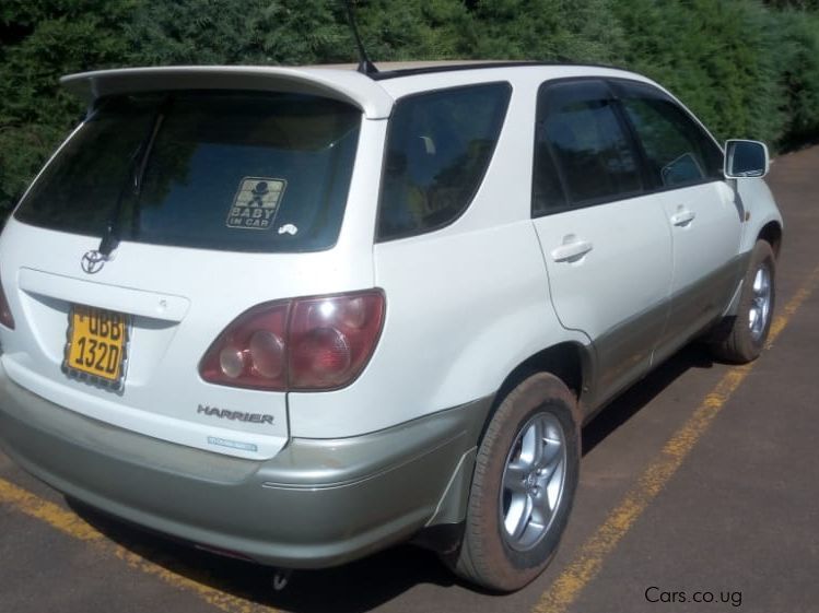 Toyota Harrier  in Uganda