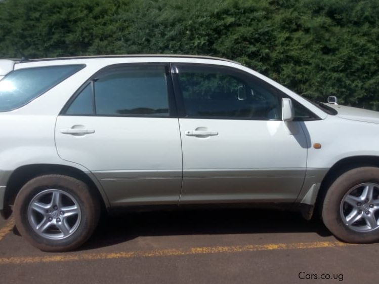 Toyota Harrier  in Uganda