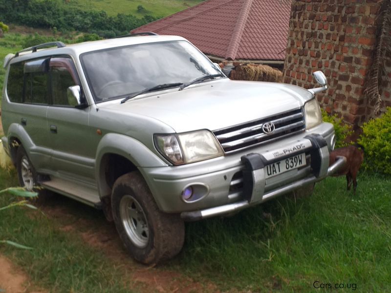 Toyota Landcruiser Prado TX 2.7L petro 1999 in Uganda