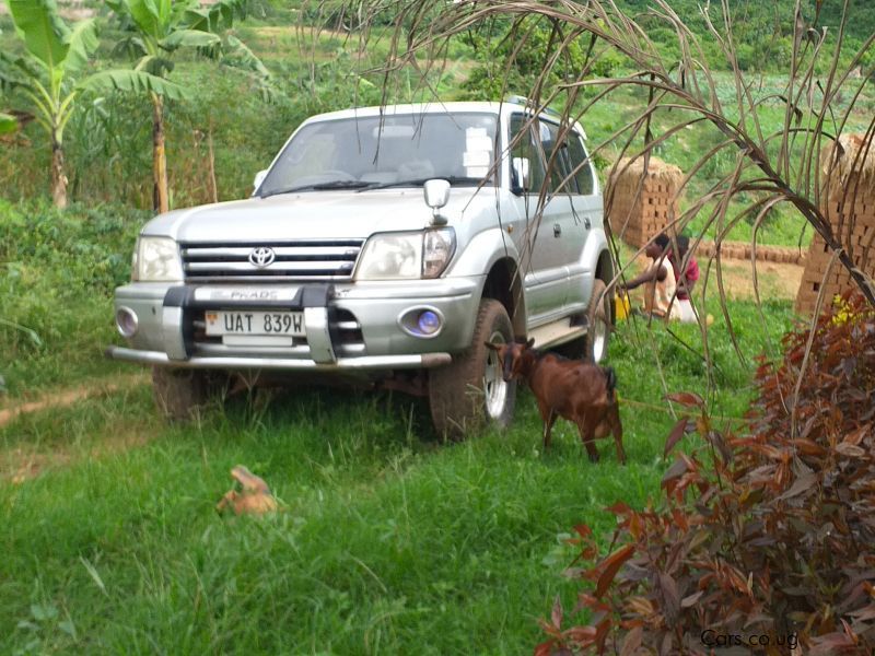 Toyota Landcruiser Prado TX 2.7L petro 1999 in Uganda