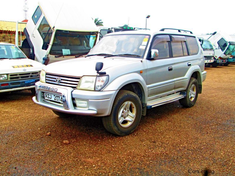 Used Toyota Prado TX 1999 Prado TX for sale Toyota Prado TX sales