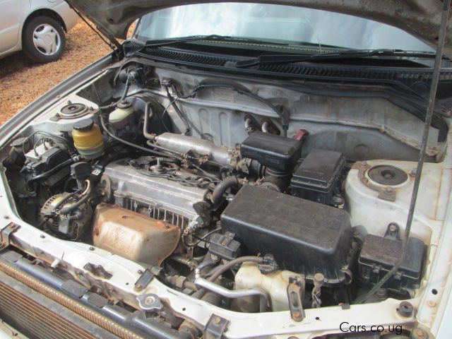 Toyota Rav4 in Uganda