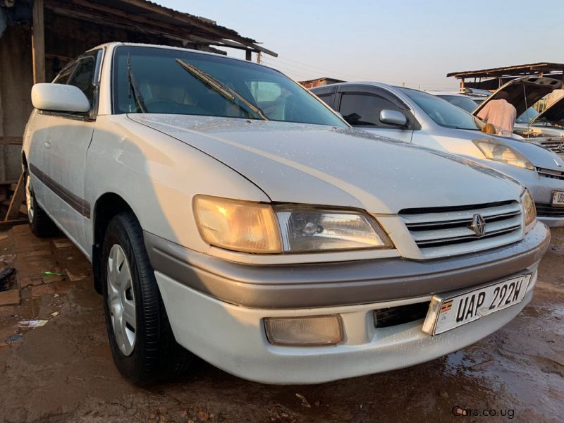 Toyota Corona in Uganda