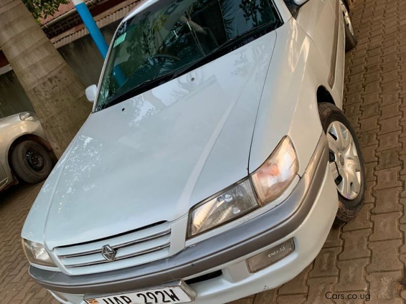 Toyota Corona in Uganda