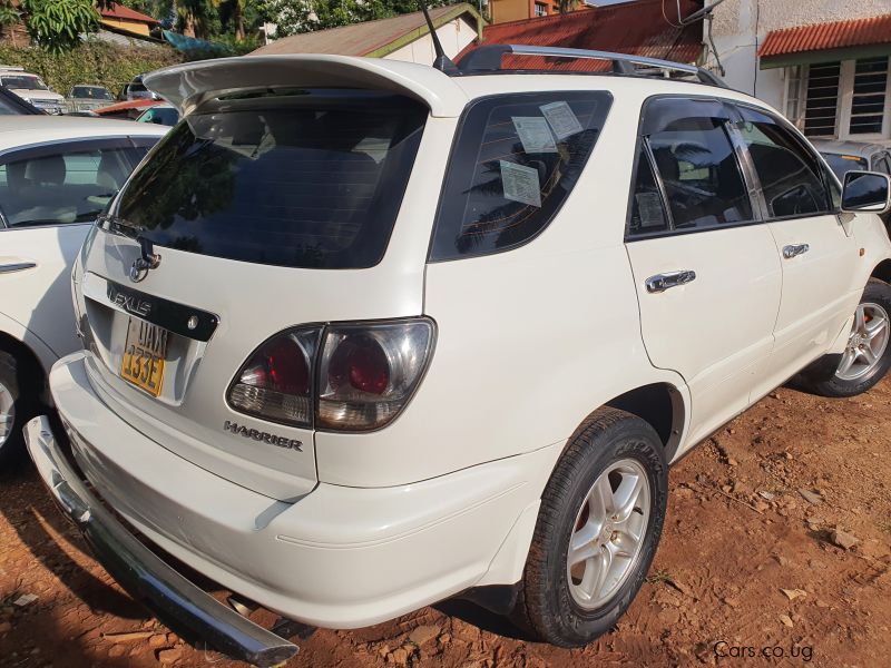 Toyota Harrier in Uganda