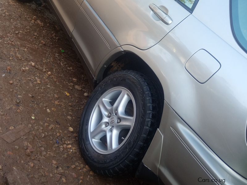 Toyota Harrier in Uganda