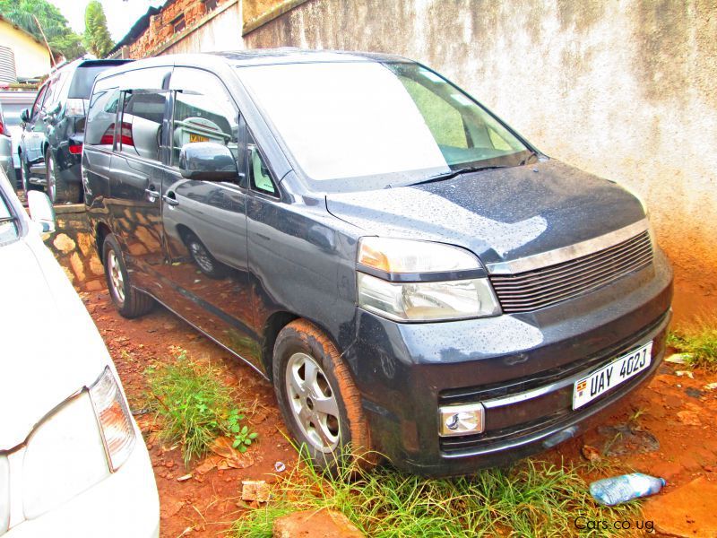 Toyota Voxy in Uganda