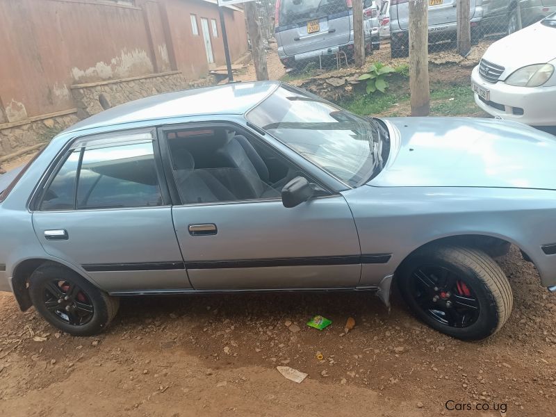 Toyota Corona in Uganda