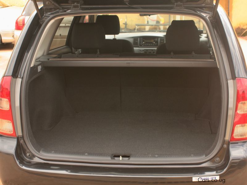 Toyota Fielder in Uganda