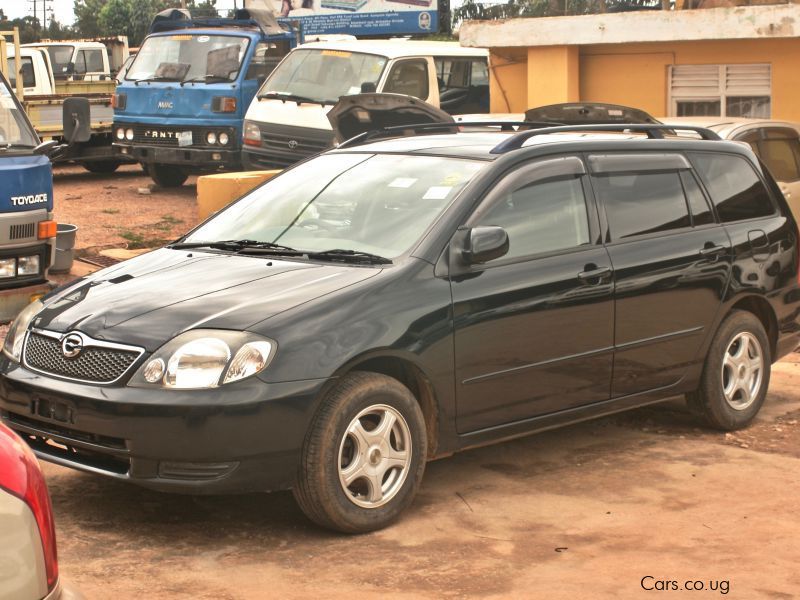 Toyota Fielder in Uganda