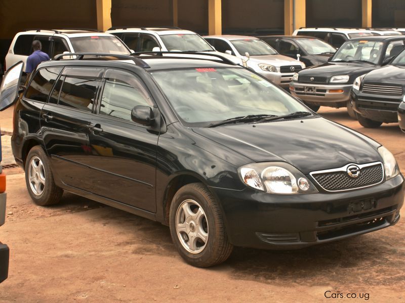 Toyota Fielder in Uganda