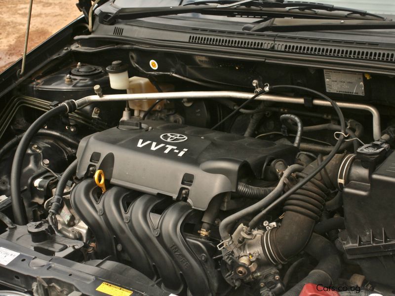 Toyota Fielder in Uganda