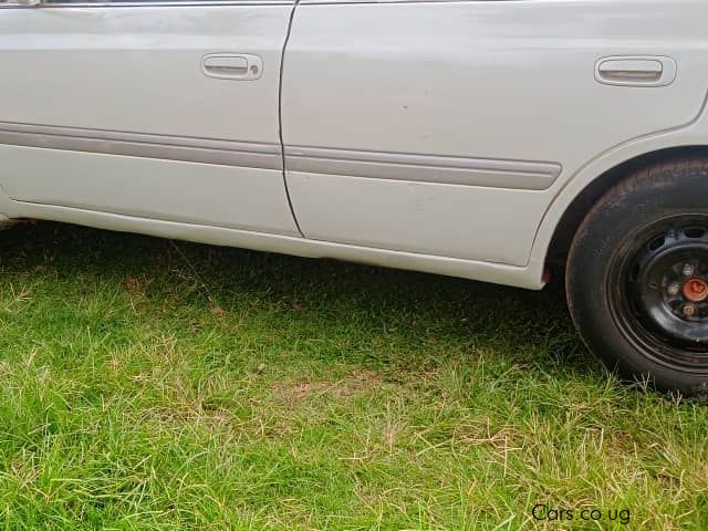 Toyota Premio in Uganda