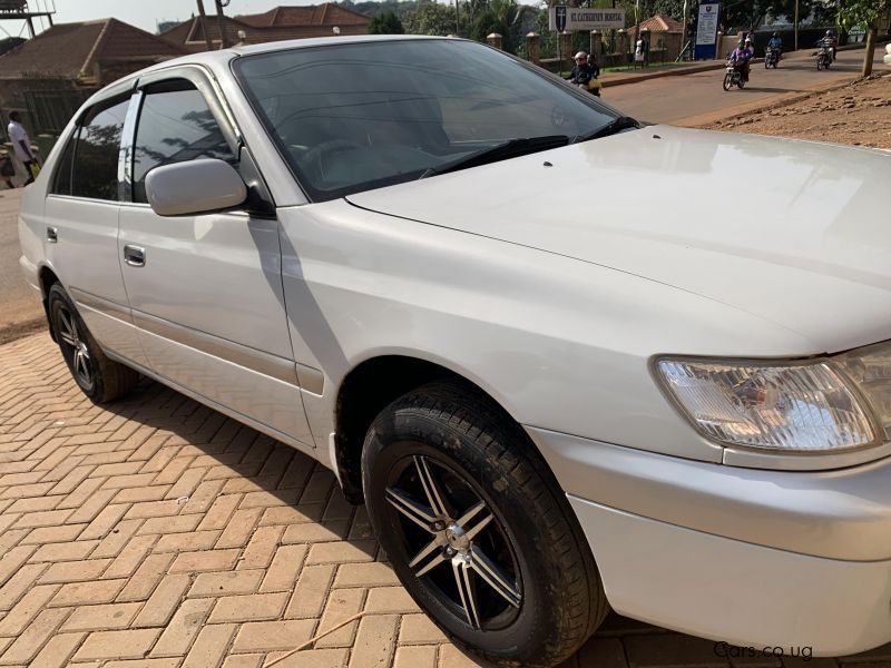 Toyota premio in Uganda