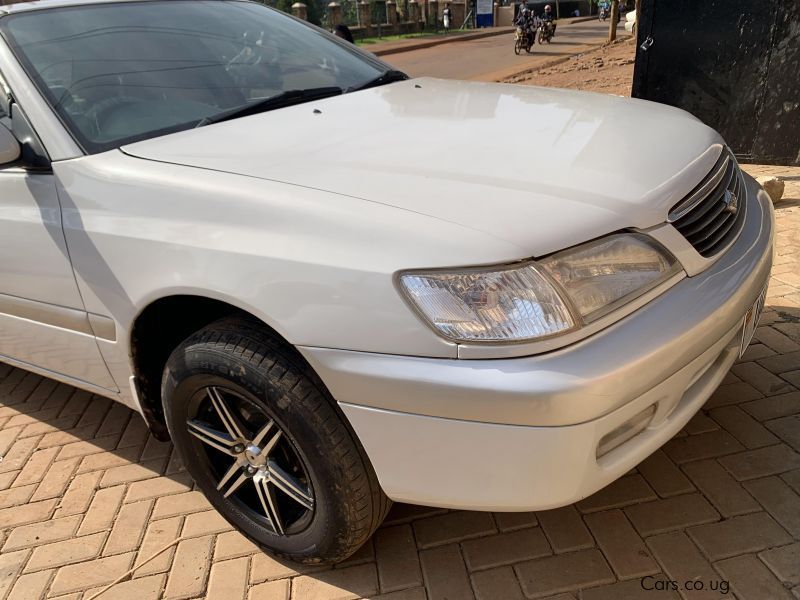 Toyota premio in Uganda