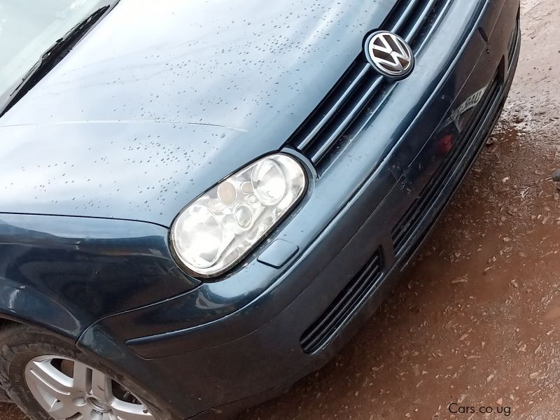 Volkswagen Golf mk4 in Uganda