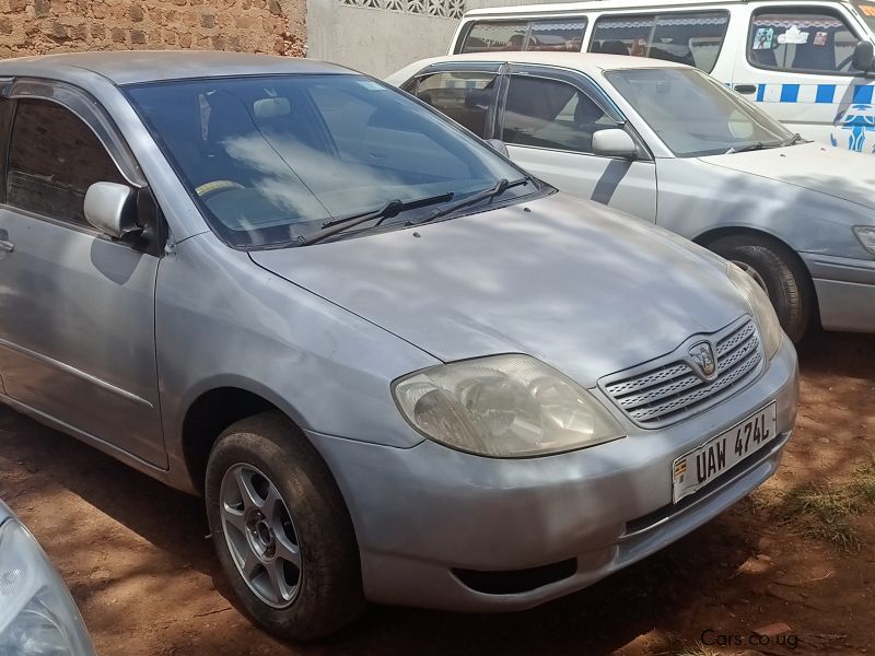 Toyota Allex in Uganda