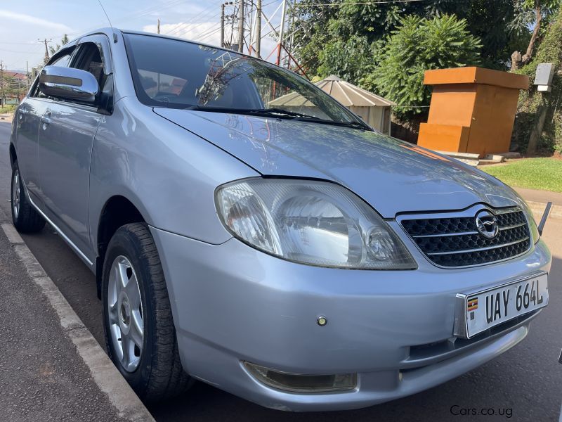 Toyota Corolla in Uganda