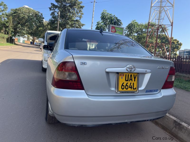 Toyota Corolla in Uganda
