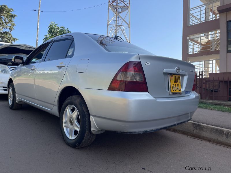 Toyota Corolla in Uganda