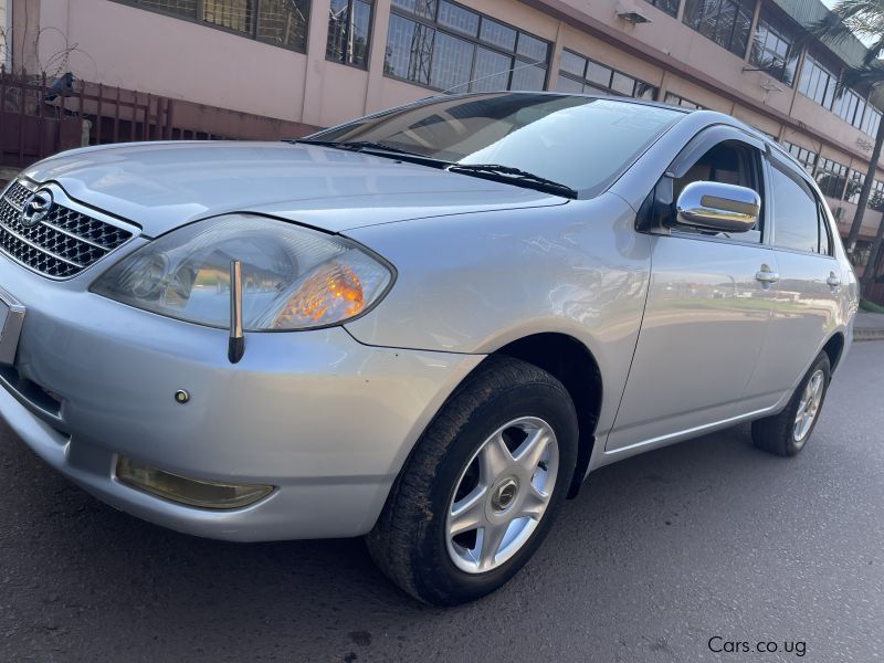 Toyota Corolla in Uganda