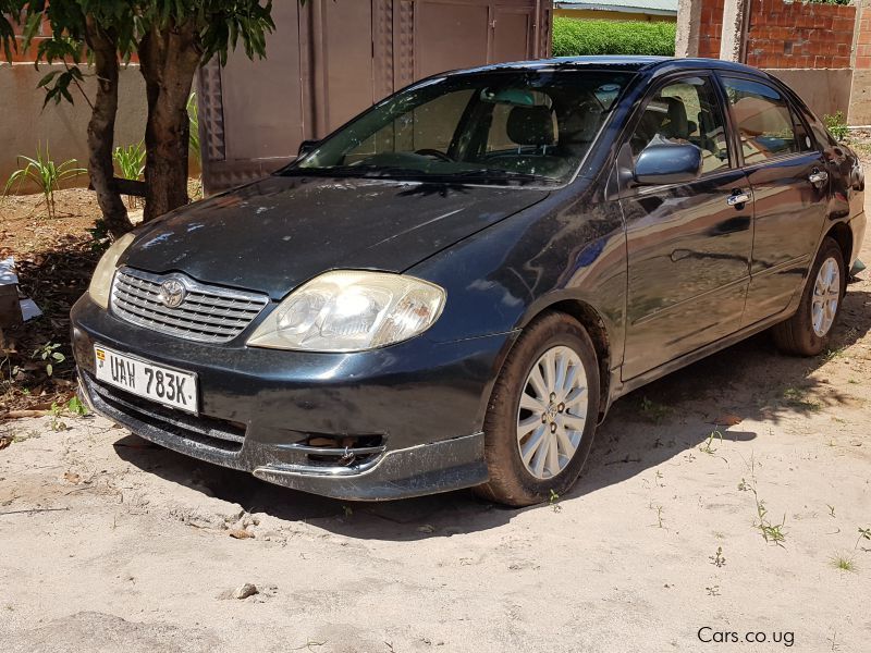 Toyota Corolla Luxel in Uganda